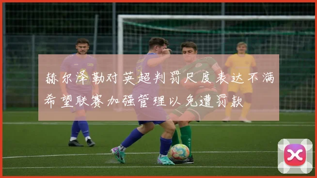 赫尔泽勒对英超判罚尺度表达不满希望联赛加强管理以免遭罚款