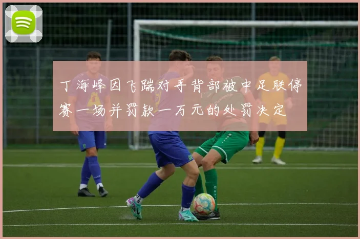 丁海峰因飞踹对手背部被中足联停赛一场并罚款一万元的处罚决定